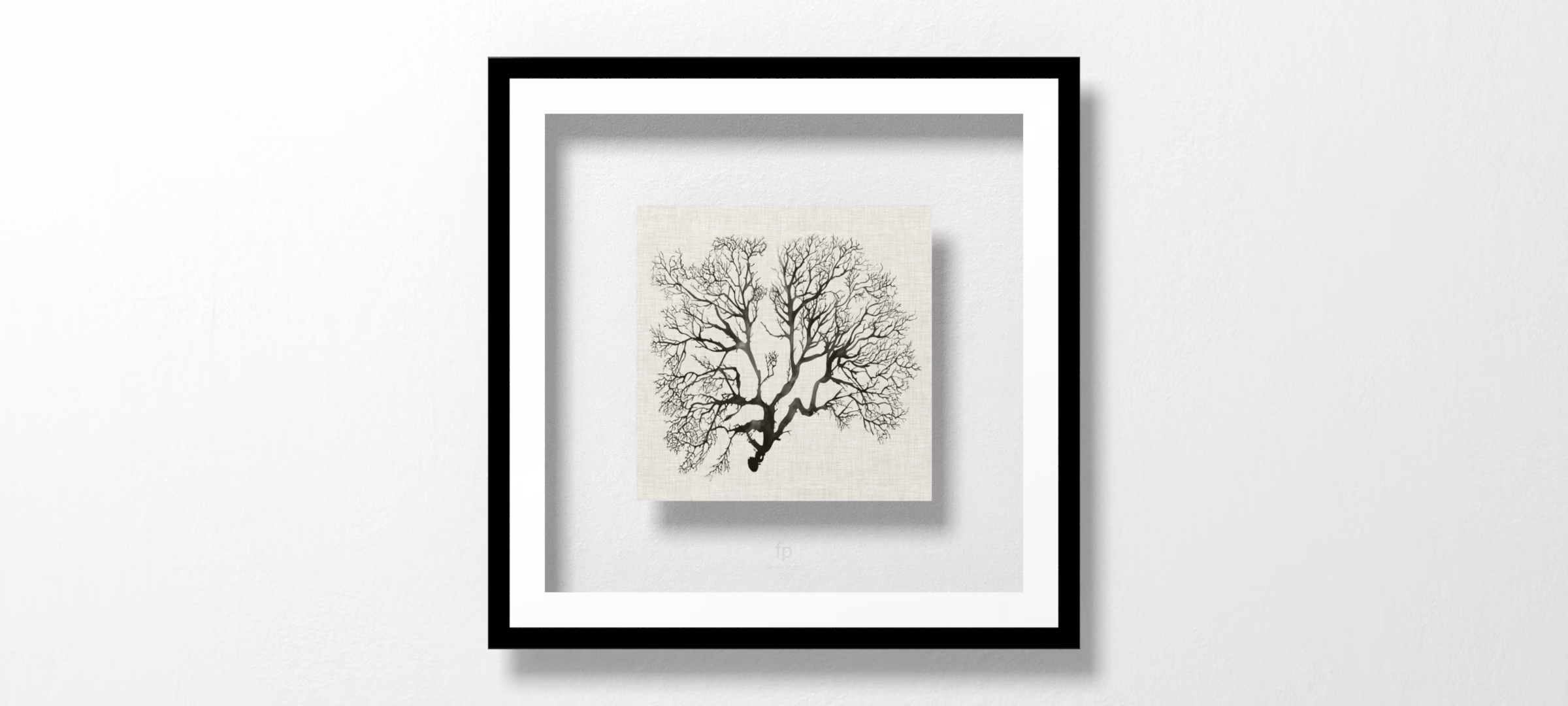 Shadow Sea Fan III by Grace Popp
