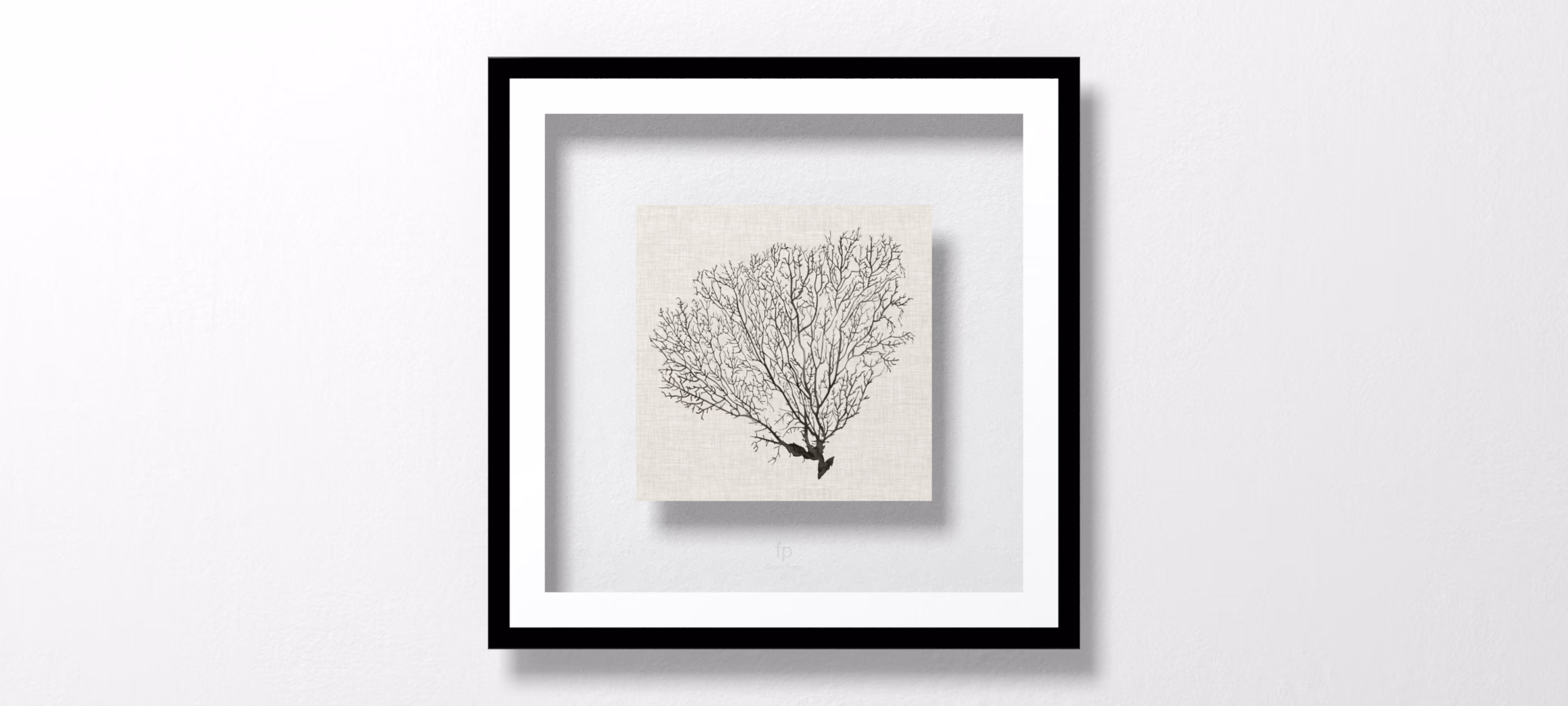Shadow Sea Fan IV by Grace Popp