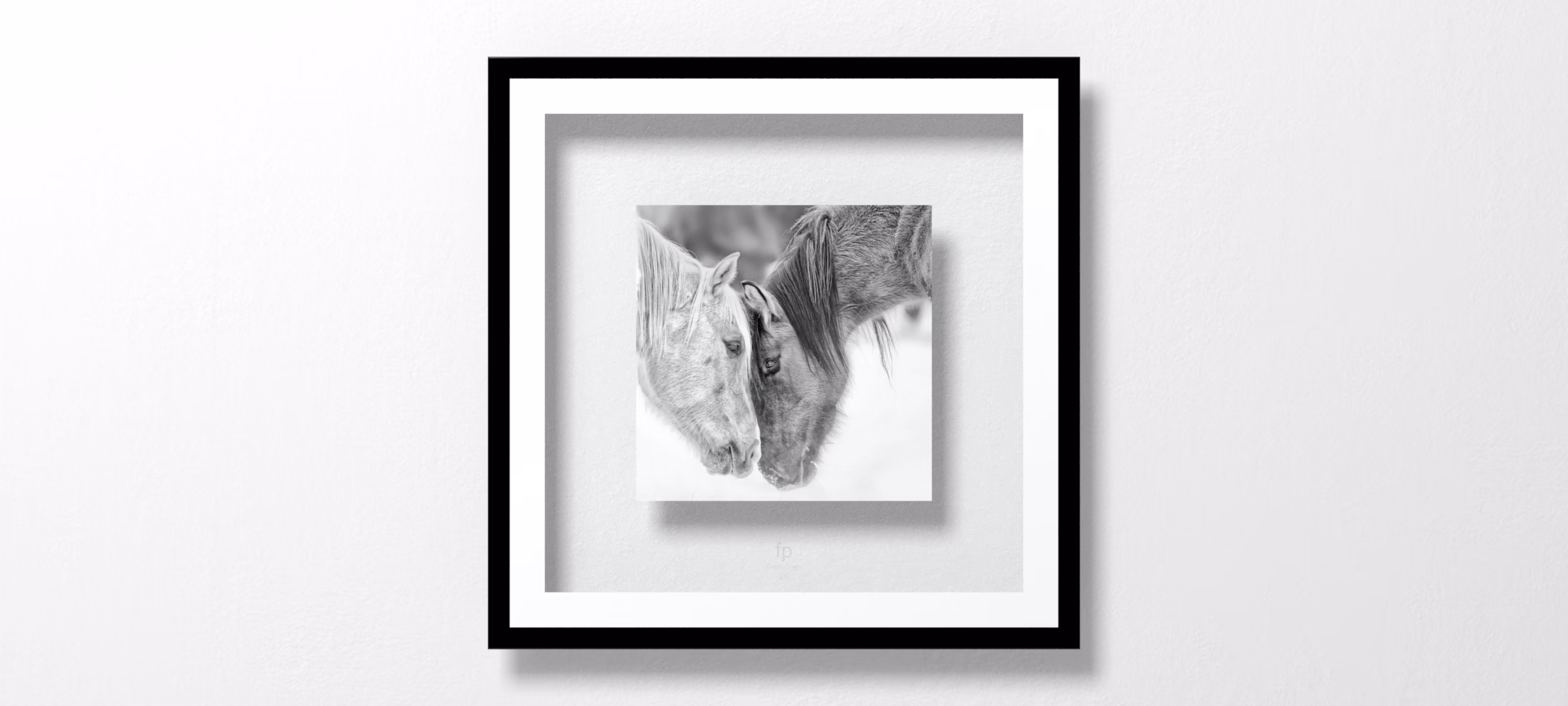 B&W Horses VII by PHBurchett