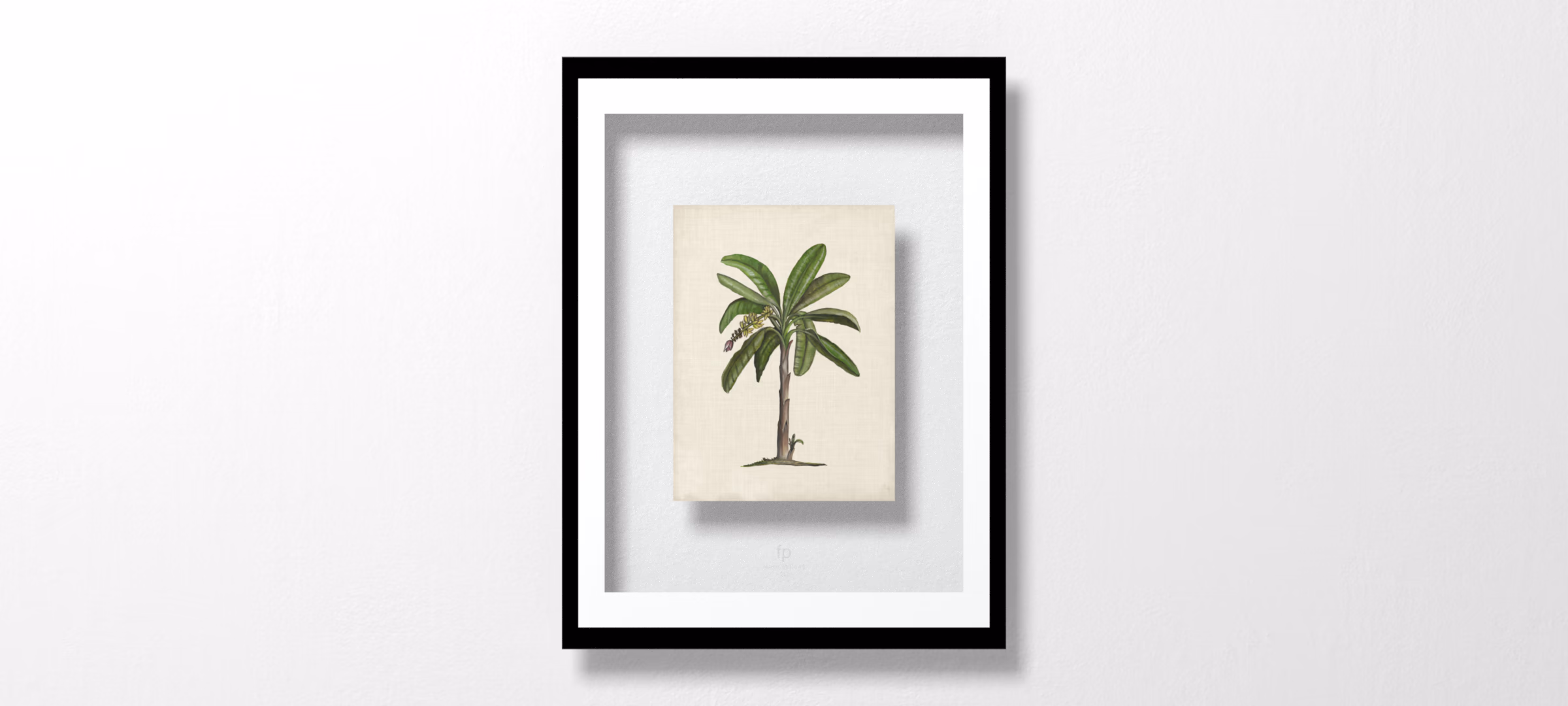 UA CH British Palms II by Naomi McCavitt