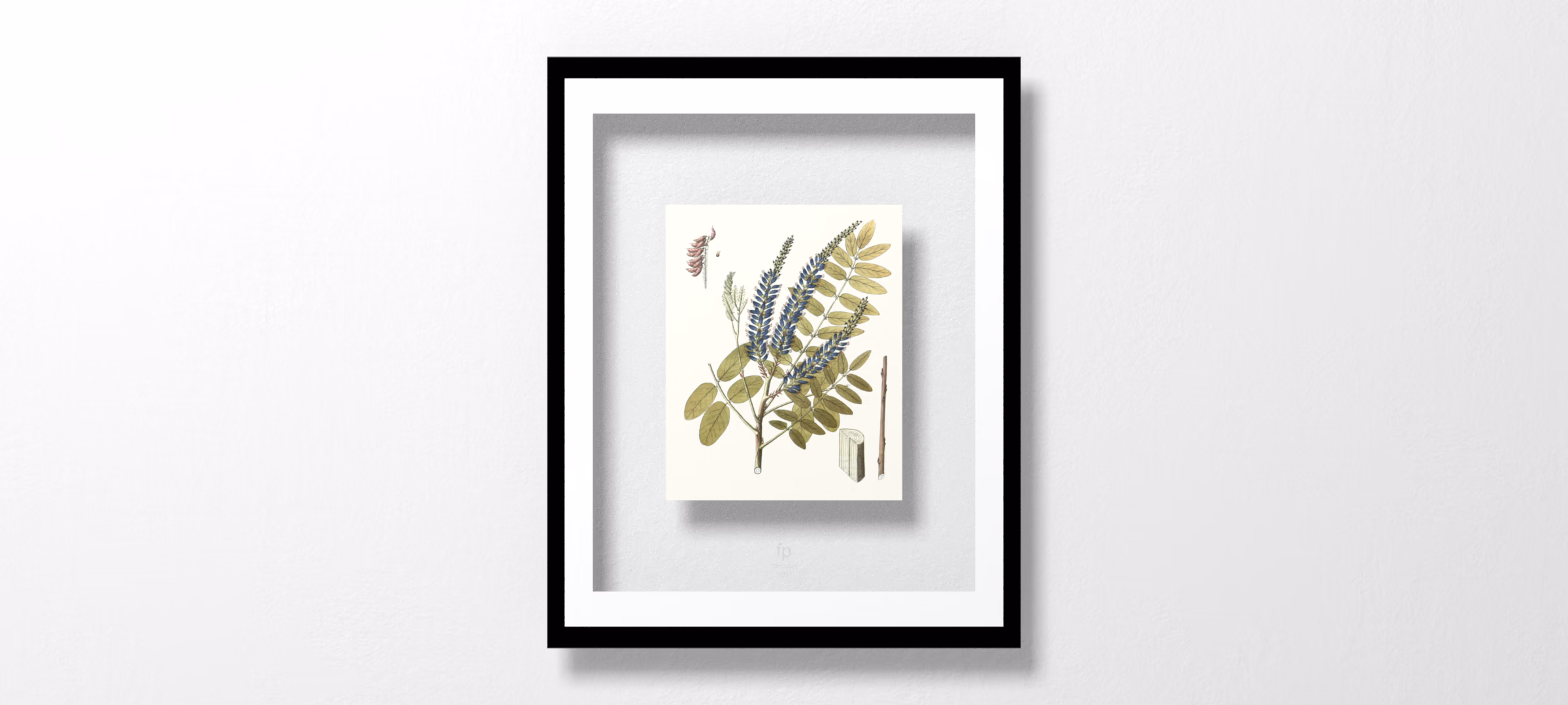 UA CH Lacy Leaves II by Unknown
