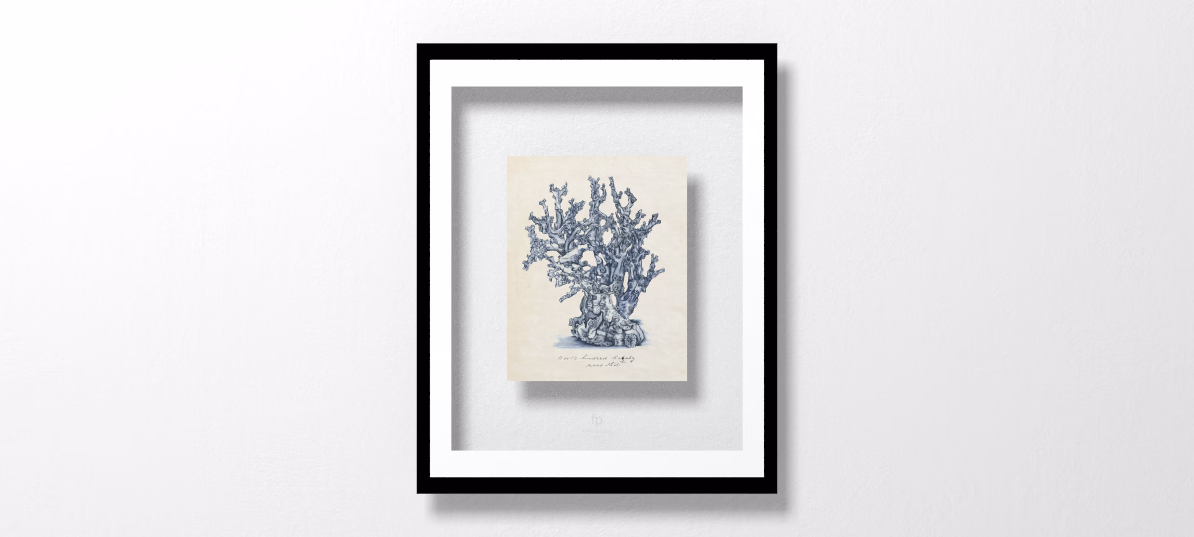 Sea Coral Study IV by Melissa Wang