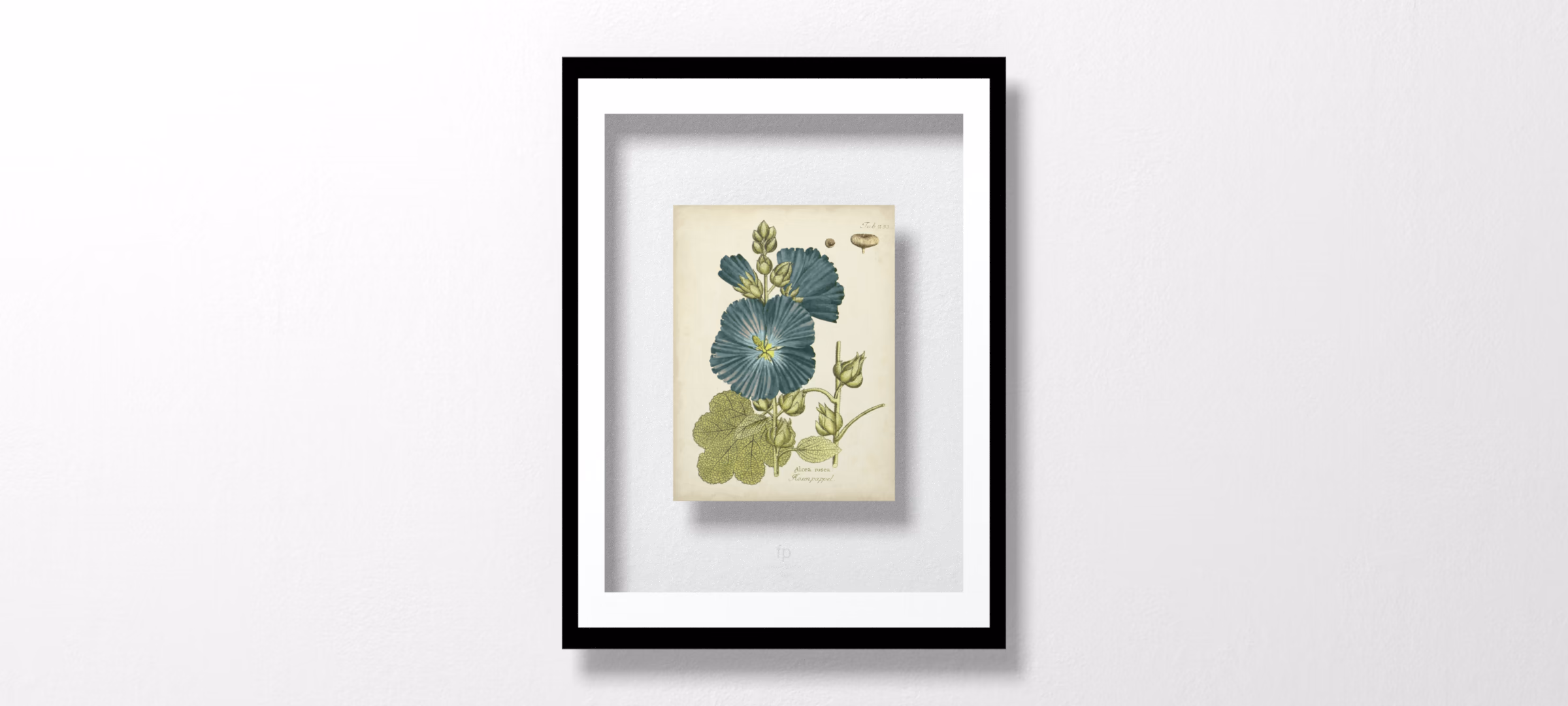 Eloquent Botanical IV by Vision Studio