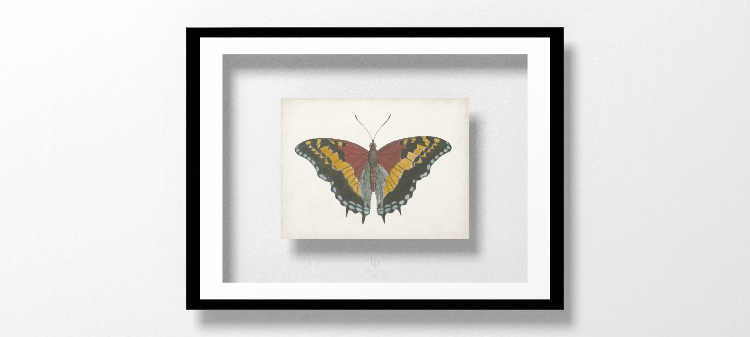 Beautiful Butterfly IV by Vision Studio