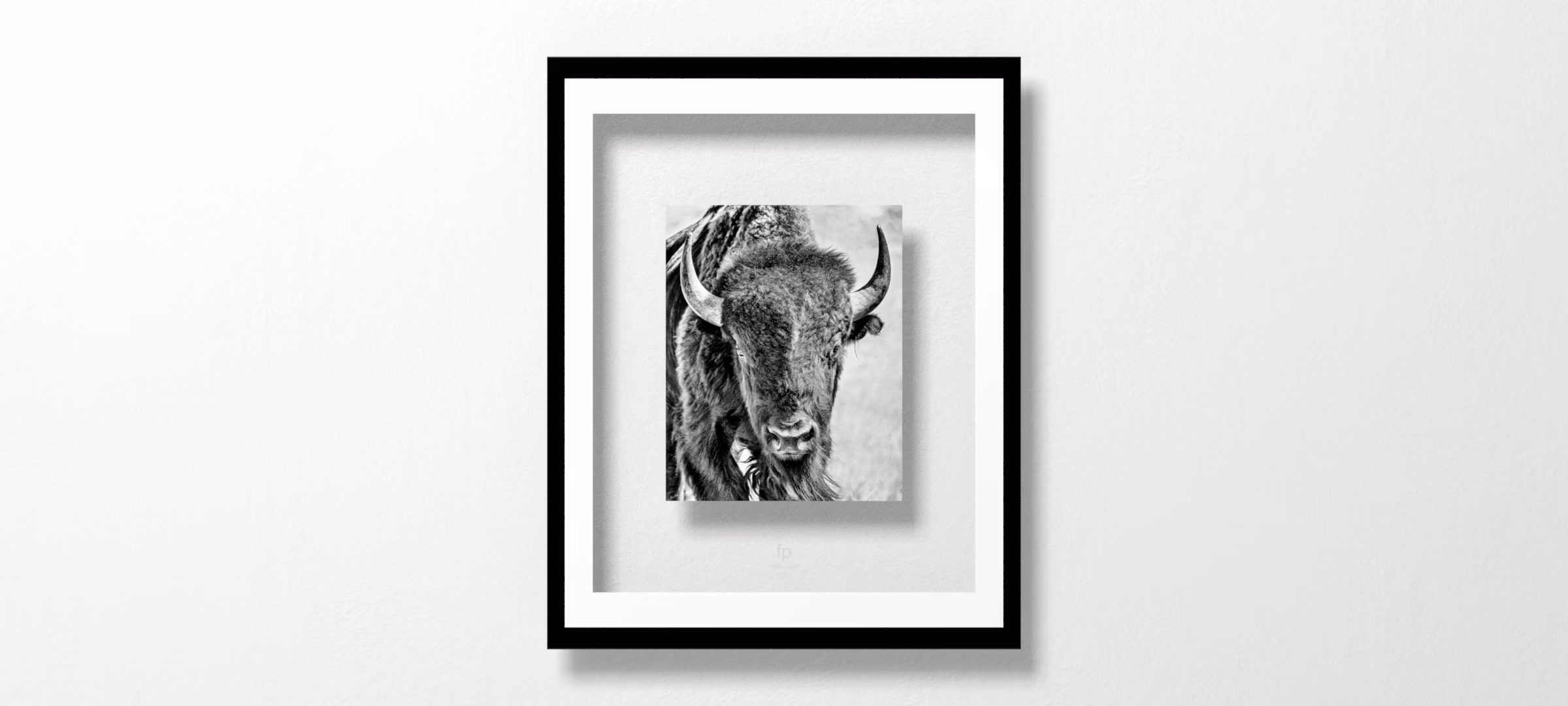 Buffalo Portrait by PHBurchett
