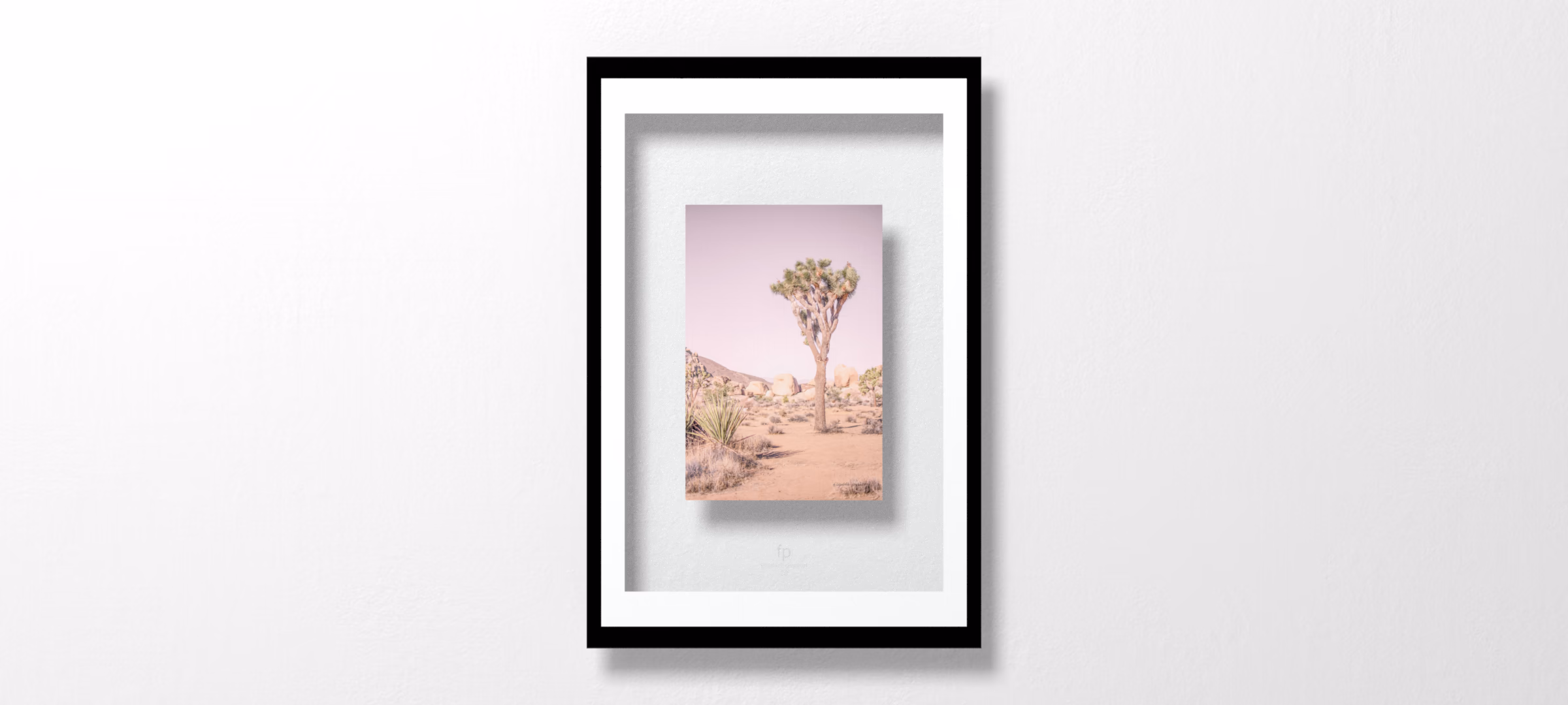 Joshua Tree III Blush by Elizabeth Urquhart
